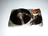 photo3_small.jpg