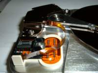photo9_small.jpg